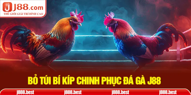 Bí kíp chinh phục sảnh chơi triệu đô nhà J88 